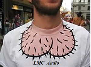 LMC audio.png