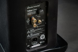 golden-ear-triton-speakers-inputs-1500x1000.jpg