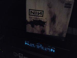 NIN.JPG