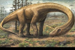 dinosaur-dreadnoughtus.jpg
