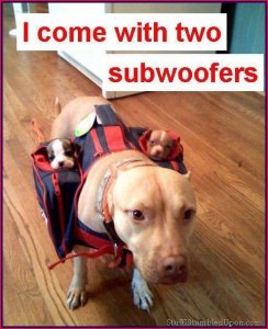 i-come-with-2-subwoofers.jpg