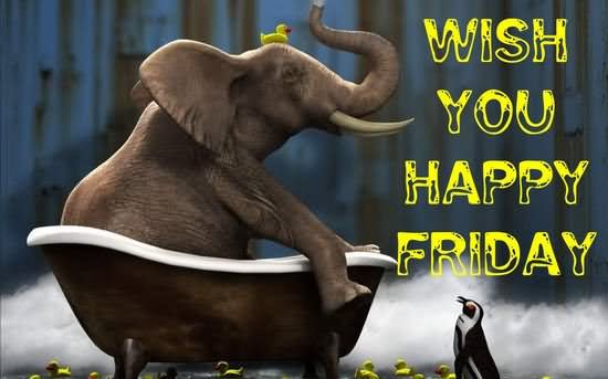 00.happy-friday.jpg