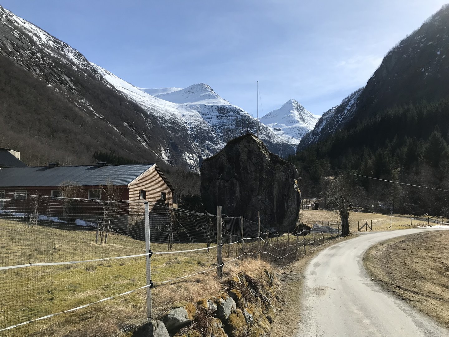 019F4780-D263-42E8-81E8-C75DE3302113.jpeg