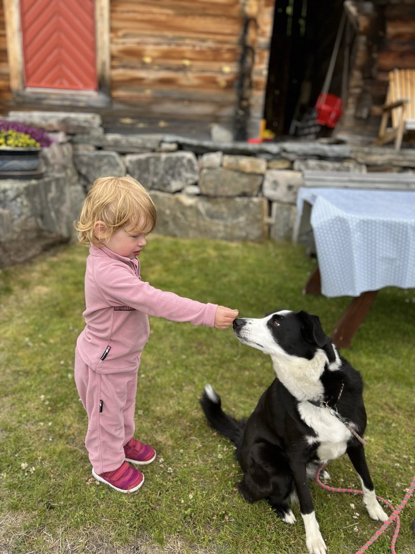 0A9C0EF2-FEB8-47AB-AB14-47D72C5A8E78.jpeg