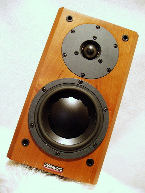 1-Dynaudio_focus110_1-001.JPG