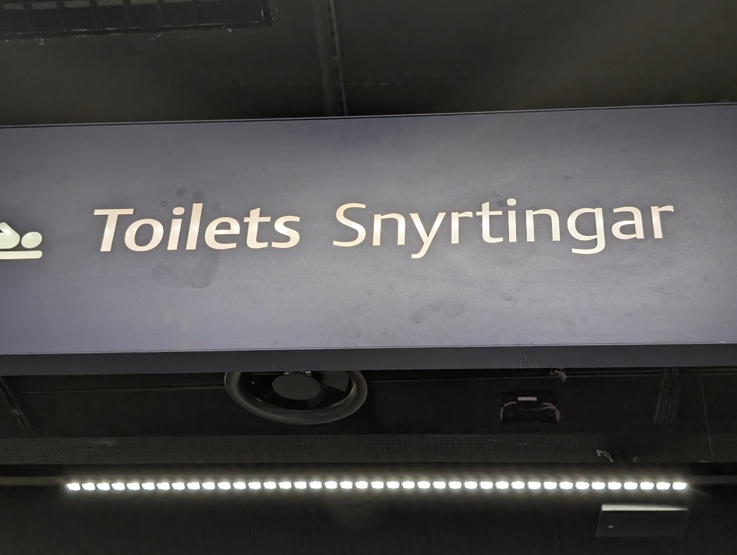 1000011325.jpg