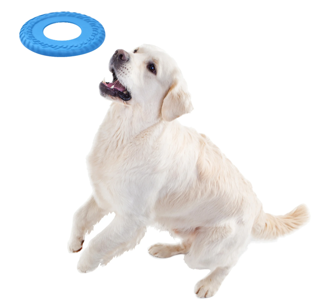 1000011327.png