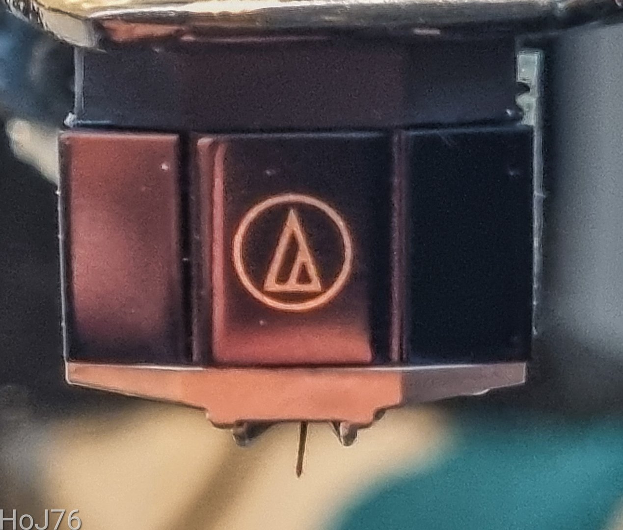 1000020517.jpg