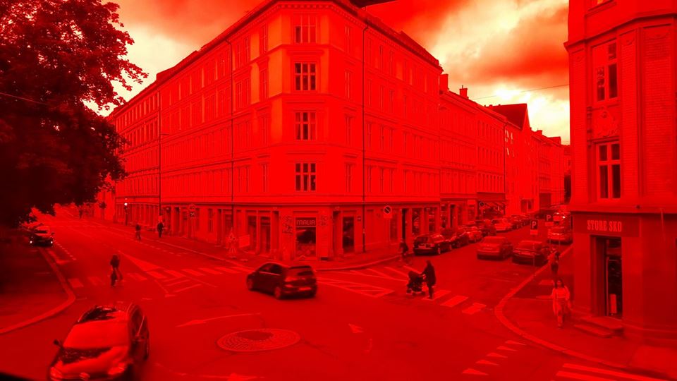 12140735_10156455512064546_9051332169447378619_n.jpg
