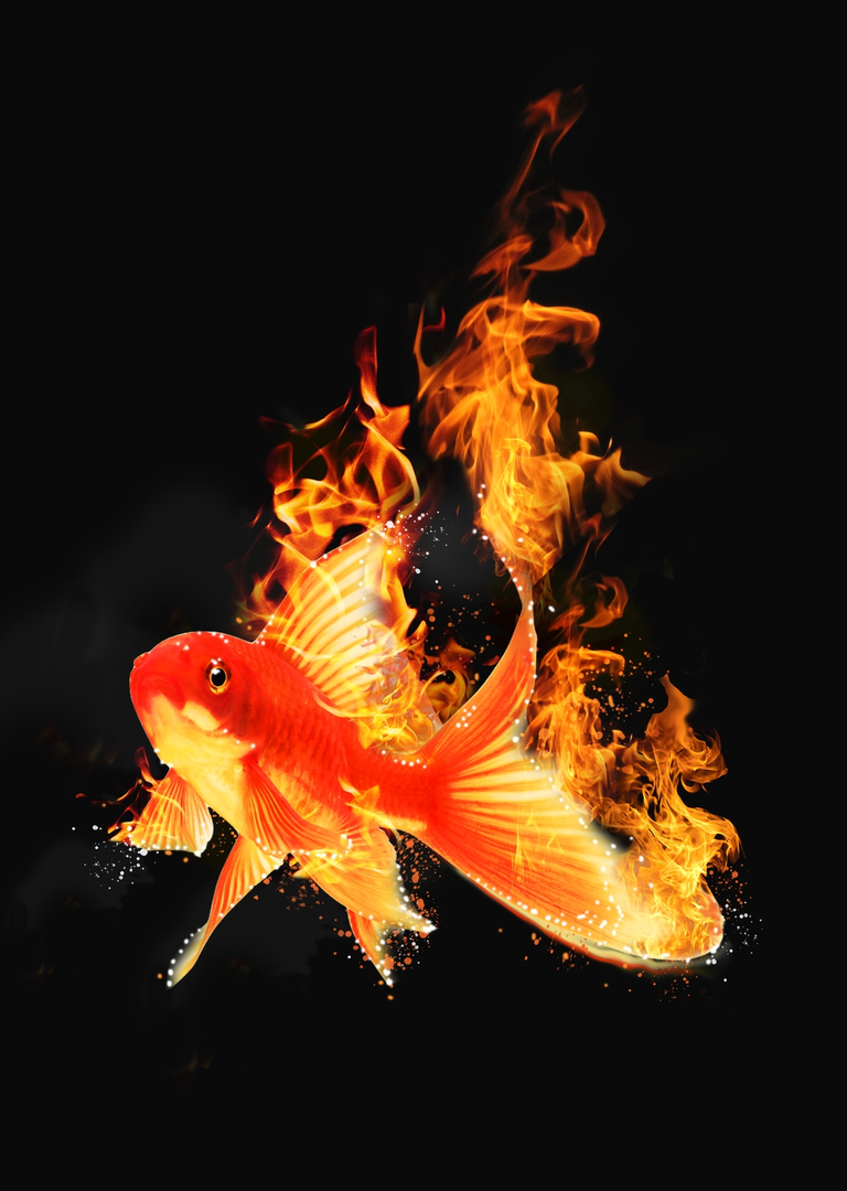 1655295063041.png