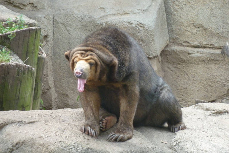 1719045524171.png