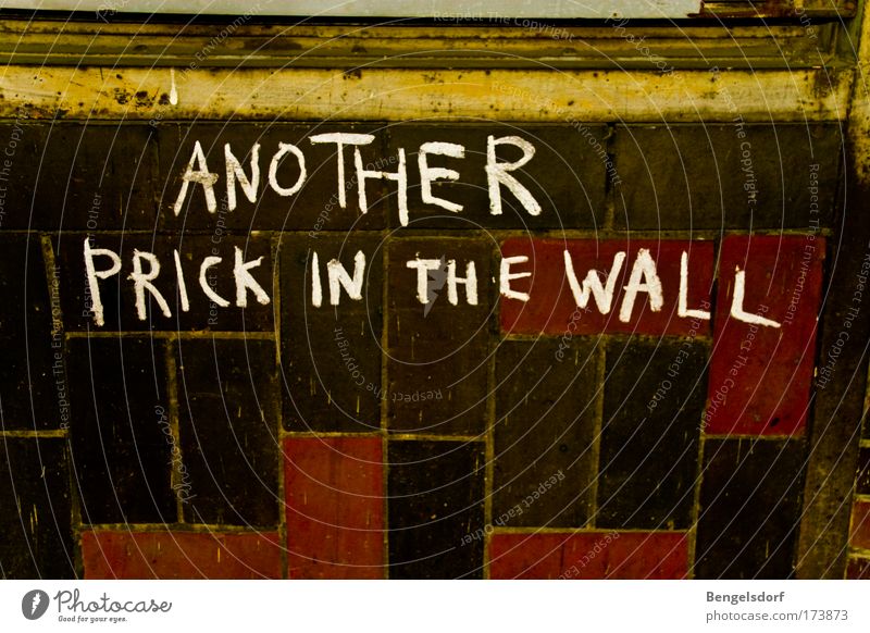 173873-another-prick-in-the-wall-lifestyle-wall-barrier-photocase-stock-photo-large.jpeg