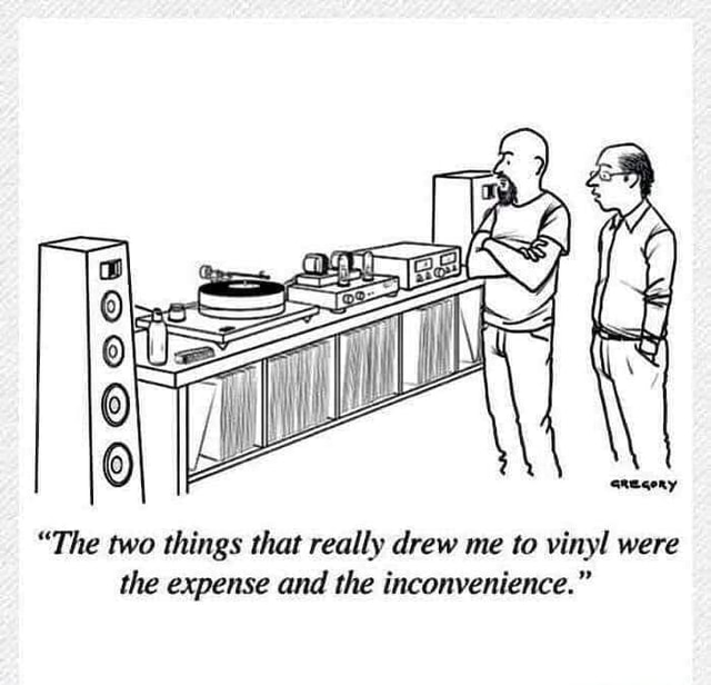 The two things that really drew me to vinyl were the expense and the inconvenience