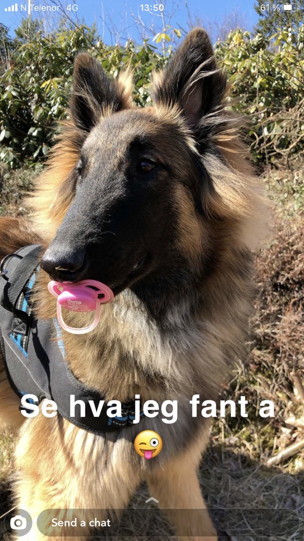 179629B6-C2E2-4F5B-B344-C0B32097F36D.jpeg