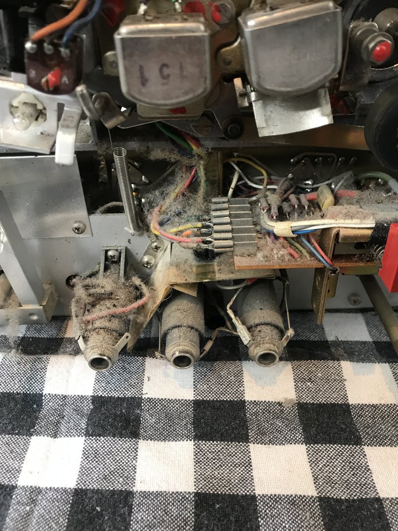 1CA15696-0C0F-4565-9F40-A7C7F10C2D07.jpeg