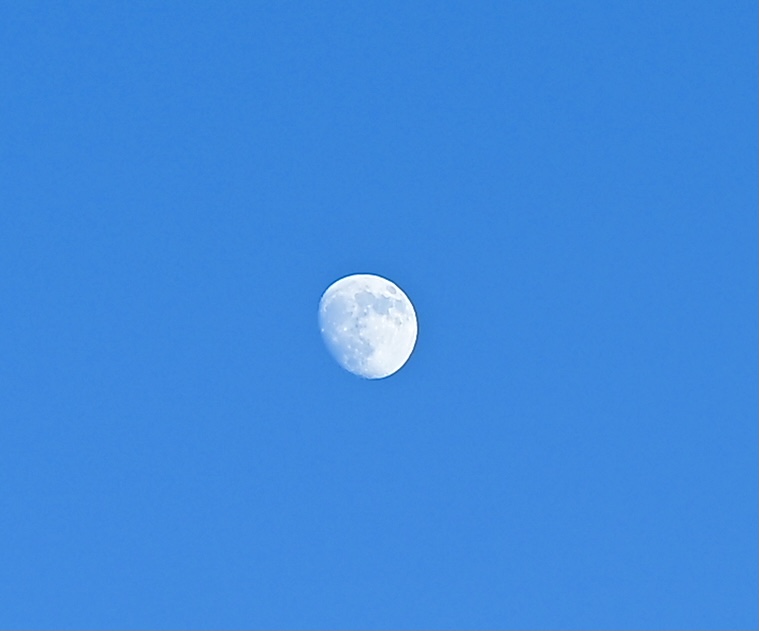 1CE83ED8-14A2-430E-8399-D98B73C1C40C.jpeg