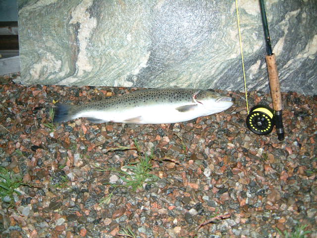 20070510_223850 - Copy.jpg