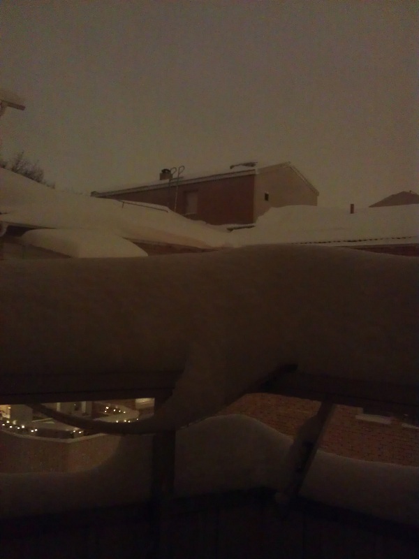 20121205_200000_600x800.jpg