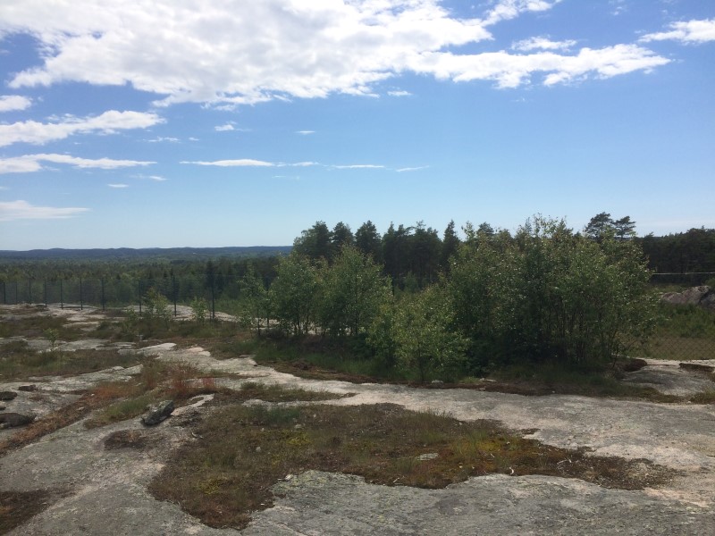 2015-06-20 15.20.46.jpg