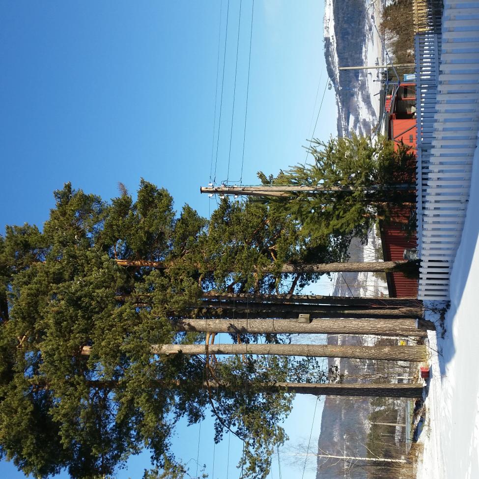 20160227_113330.jpg