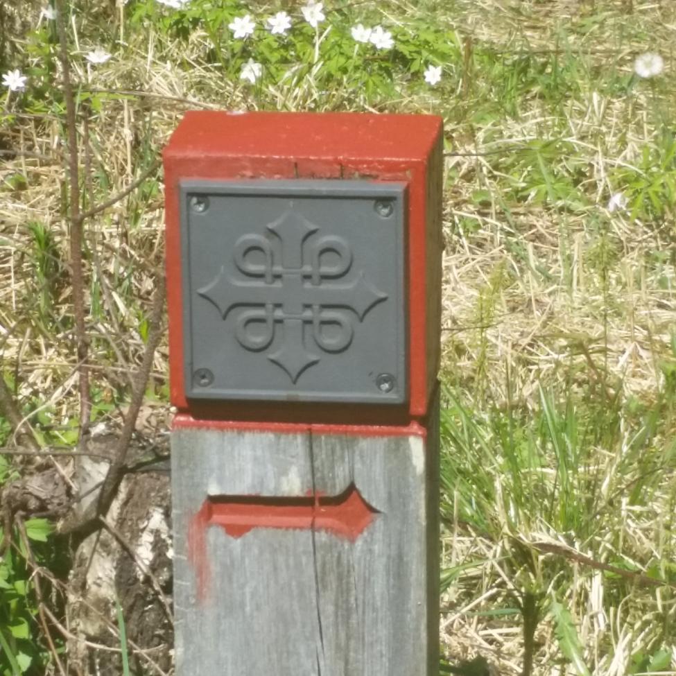 20160516_121632.jpg