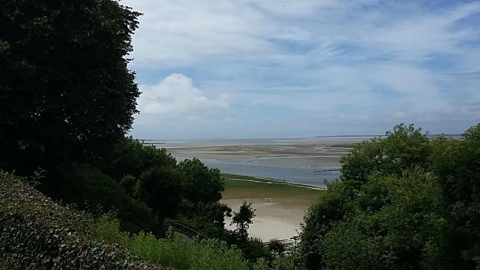20160627_155607.jpg