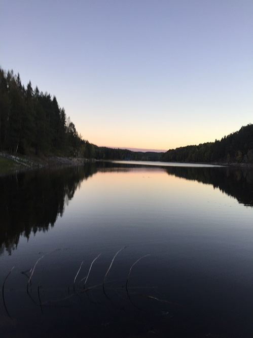 20161002_164658589_iOS.jpg