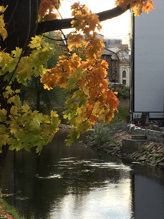 20161008_095149604_iOS.jpg