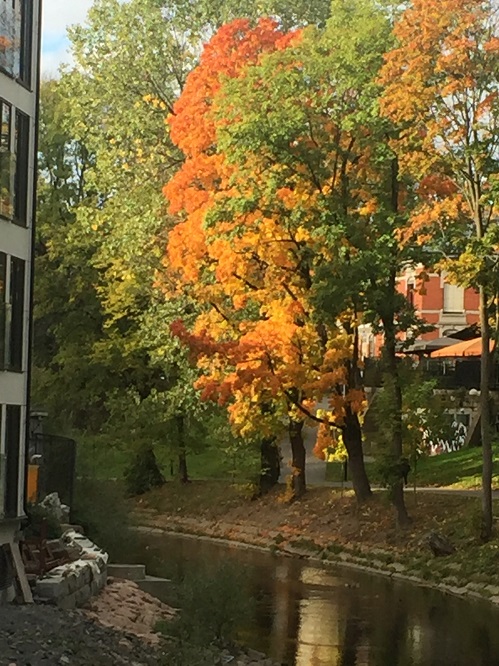 20161008_135209229_iOS.jpg