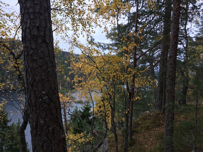 20161016_115150485_iOS.jpg