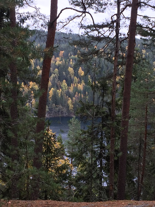 20161016_115749387_iOS.jpg