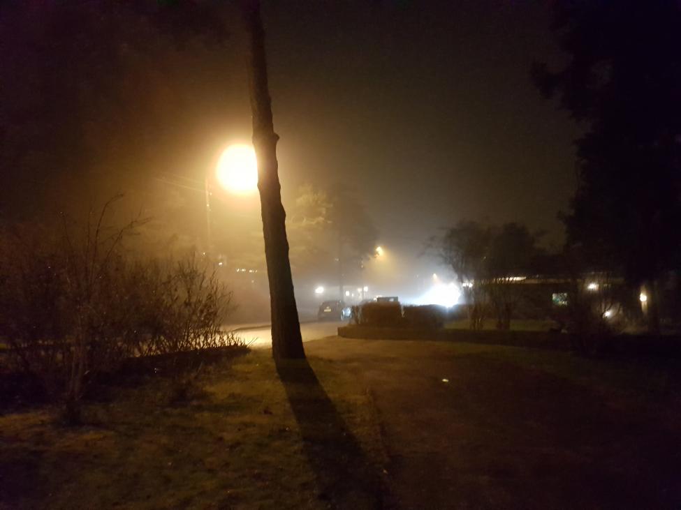20161218_165952.jpg