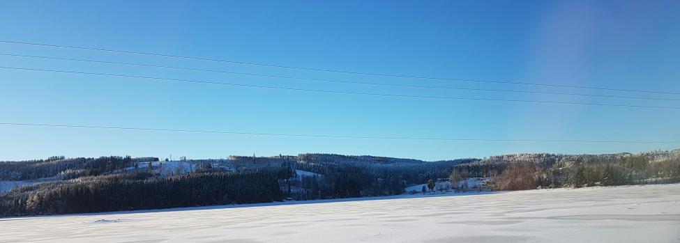 20170115_110624.jpg