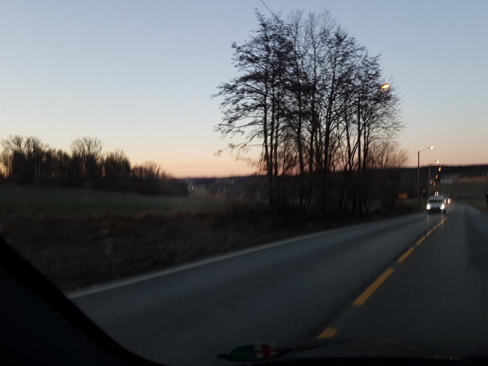 20170323_061235.jpg