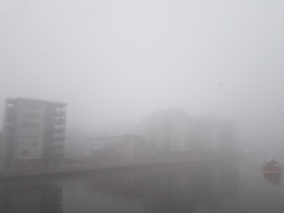 20170327_070852.jpg