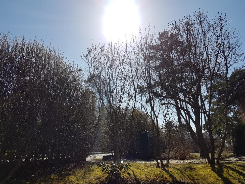 20170402_133110.jpg