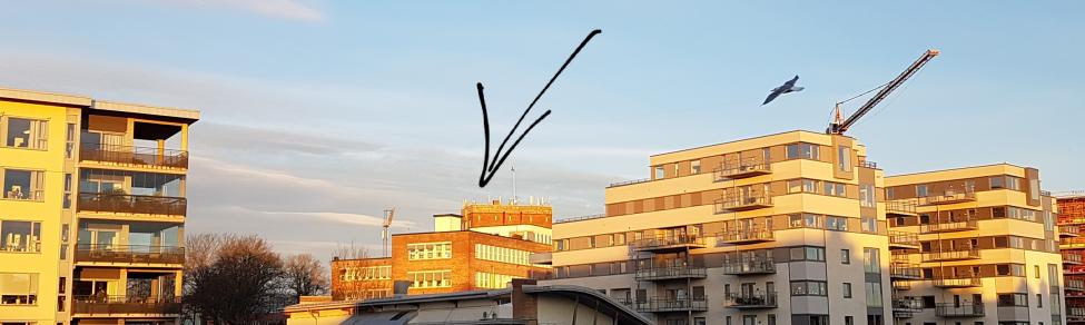 20170407_064453.jpg