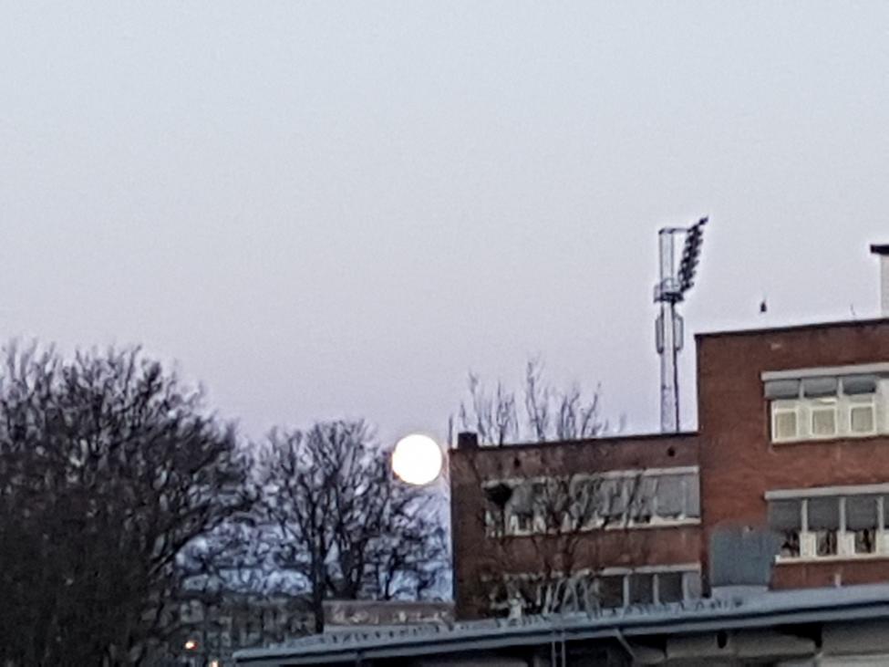 20170411_060947.jpg
