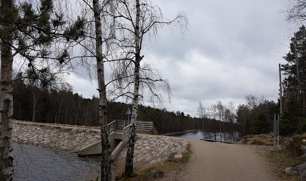 20170414_132036.jpg