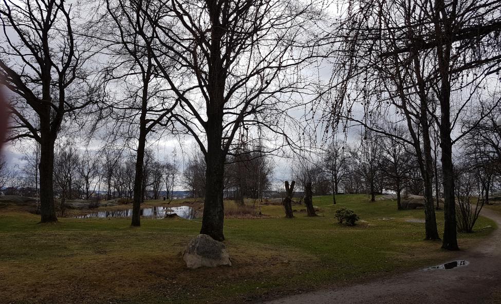 20170414_132106.jpg