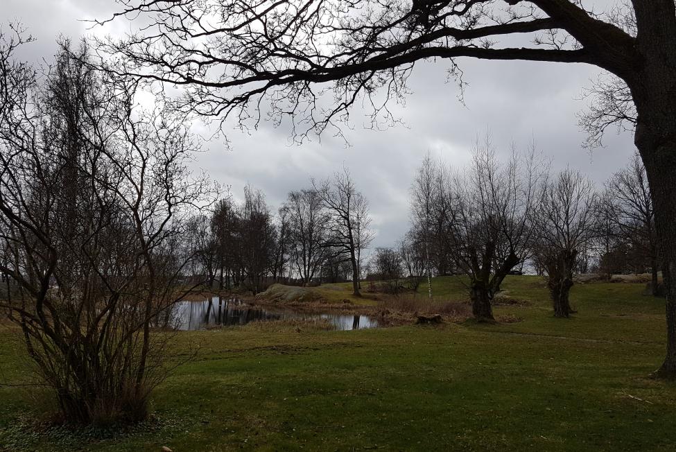 20170414_132133.jpg