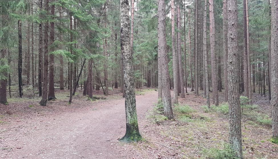 20170414_132556.jpg