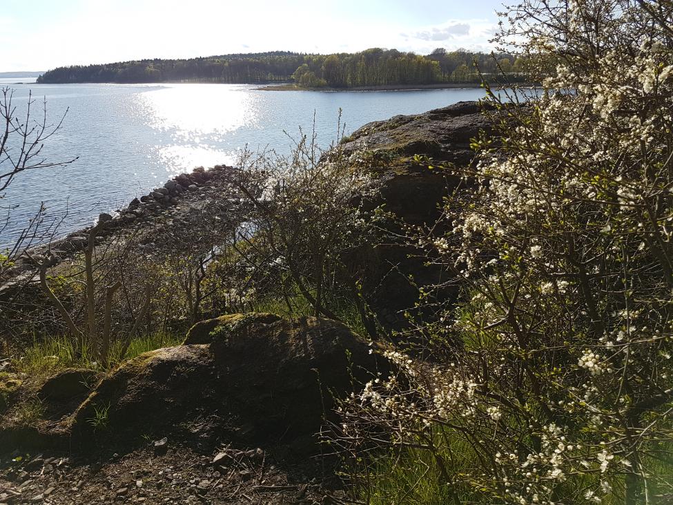 20170507_175221.jpg