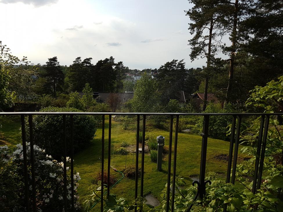 20170520_171744.jpg