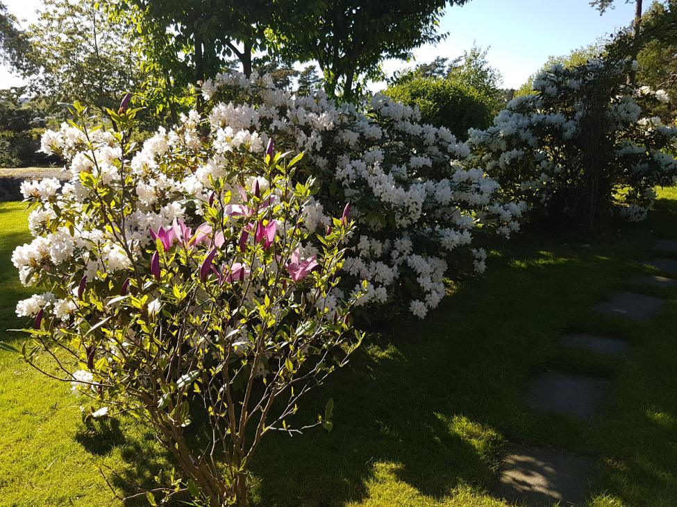 20170526_174216.jpg