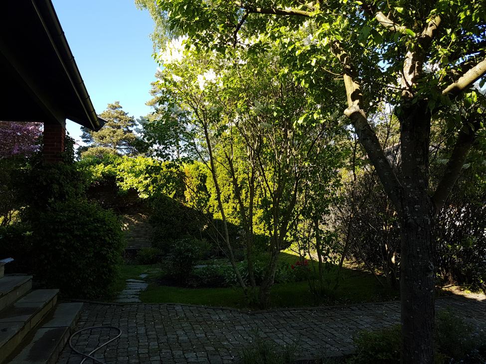 20170526_174416.jpg