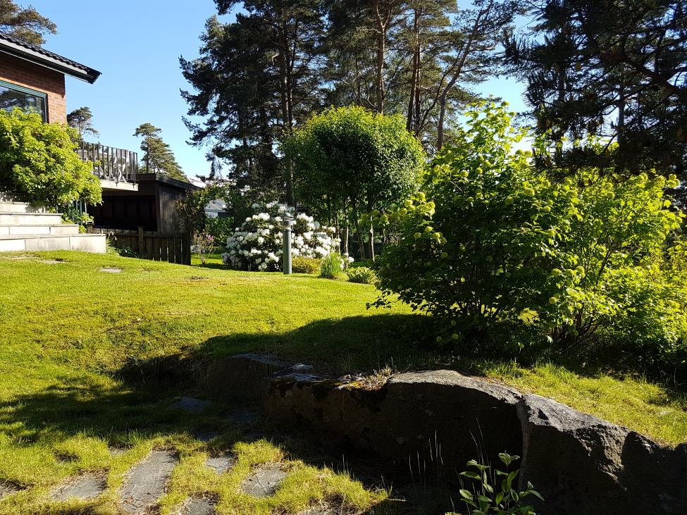 20170526_174534.jpg
