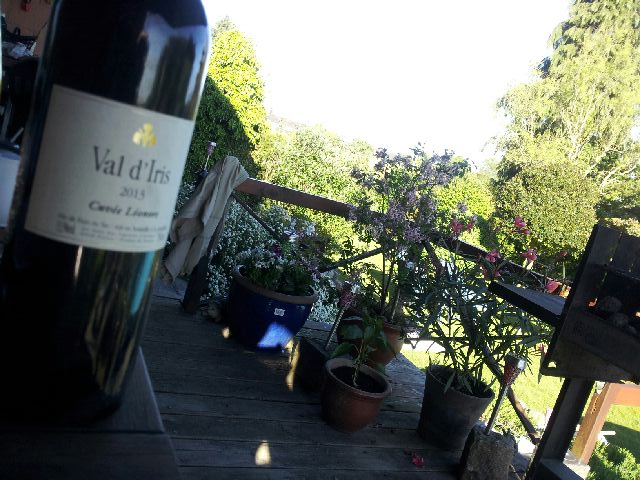 20170526_183805.jpeg