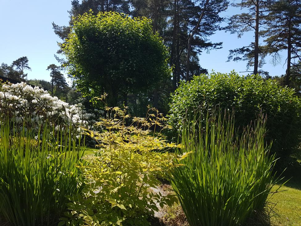 20170527_120747.jpg