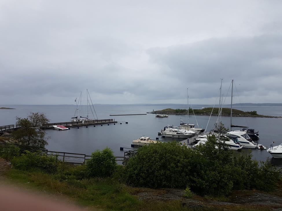 20170623_154538.jpg